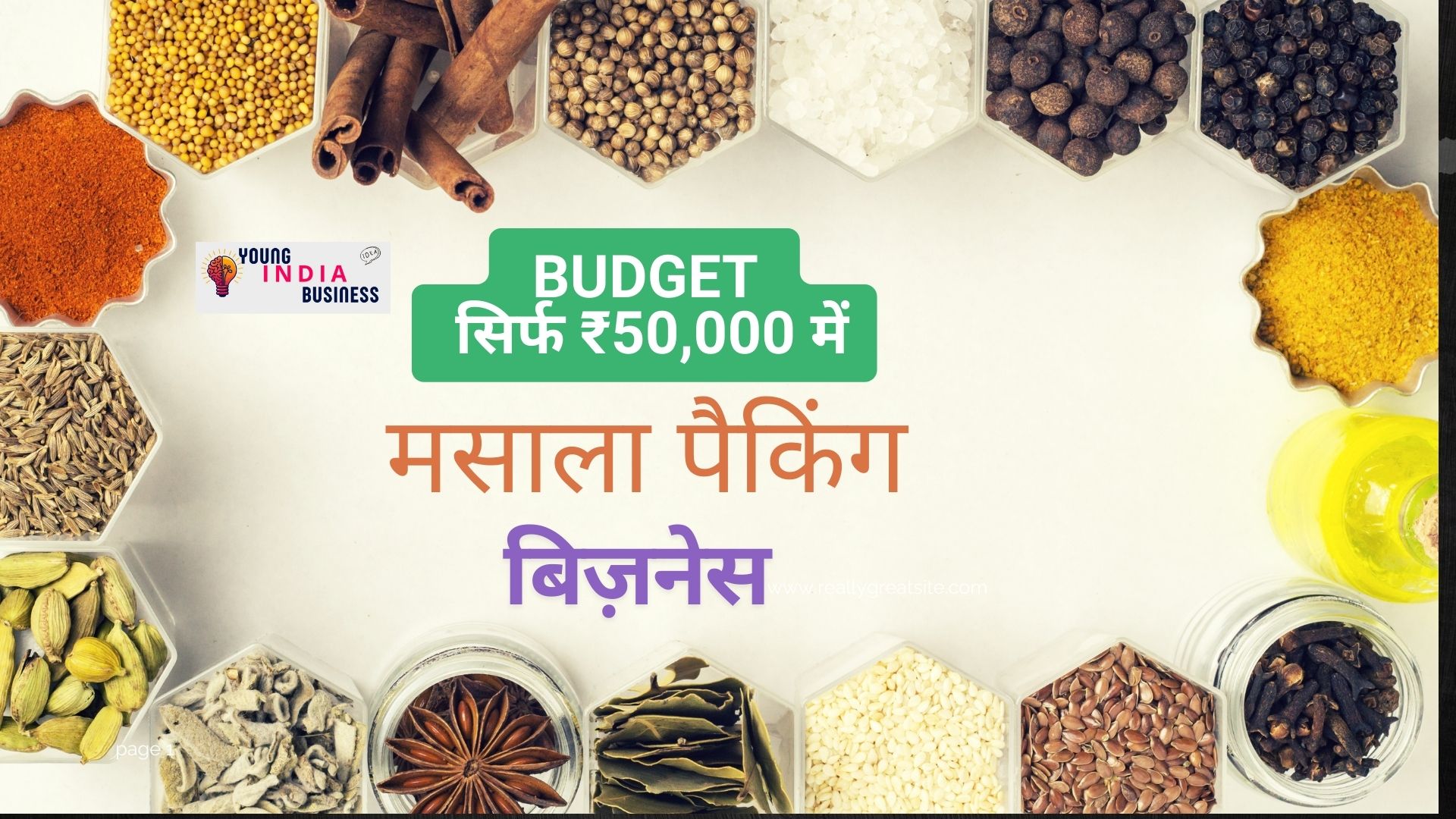 मसाला पैकिंग